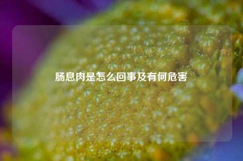 肠息肉是怎么回事及有何危害