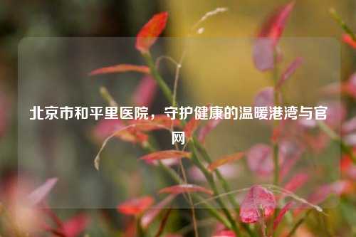 北京市和平里医院，守护健康的温暖港湾与官网