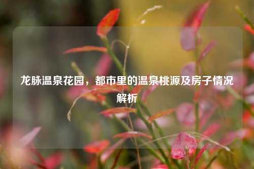 龙脉温泉花园,都市里的温泉桃源及房子情况解析
