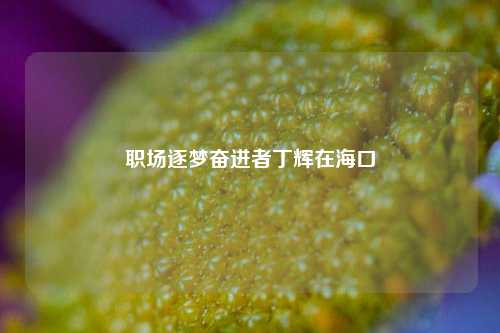 职场逐梦奋进者丁辉在海口