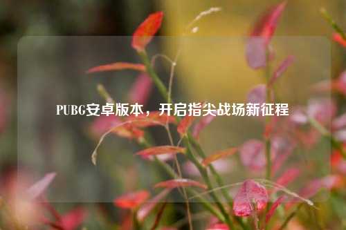 PUBG安卓版本，开启指尖战场新征程