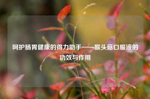 呵护肠胃健康的得力助手——猴头菇口服液的功效与作用