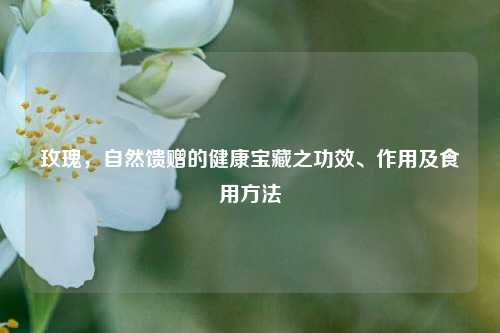 玫瑰，自然馈赠的健康宝藏之功效、作用及食用 *** 