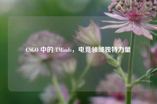 CSGO 中的 TMinds,电竞领域独特力量