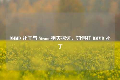 DMMD 补丁与 Steam 相关探讨，如何打 DMMD 补丁