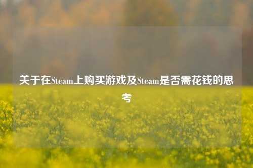 关于在Steam上购买游戏及Steam是否需花钱的思考