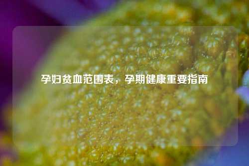 孕妇贫血范围表，孕期健康重要指南