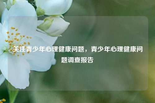 关注青少年心理健康问题,青少年心理健康问题调查报告