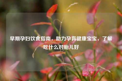 早期孕妇饮食指南，助力孕育健康宝宝，了解吃什么对胎儿好