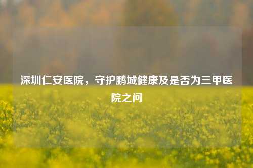 深圳仁安医院,守护鹏城健康及是否为三甲医院之问