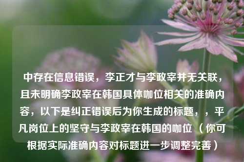 中存在信息错误,李正才与李政宰并无关联,且未明确李政宰在韩国具体咖位相关的准确内容,以下是纠正错误后为你生成的标题,,平凡岗位上的坚守与李政宰在韩国的咖位 (你可根据实际准确内容对标题进一步调整完善)