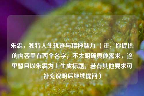 朱霖,独特人生轨迹与精神魅力 (注,你提供的内容里有两个名字,不太明确具体需求,这里暂且以朱霖为主生成标题,若有其他要求可补充说明后继续提问)