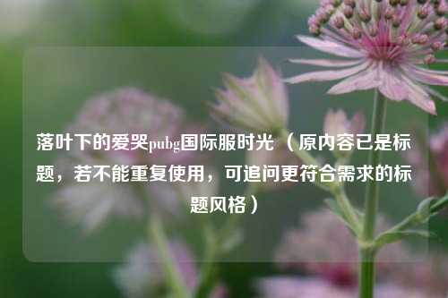 落叶下的爱哭pubg国际服时光 (原内容已是标题,若不能重复使用,可追问更符合需求的标题风格)