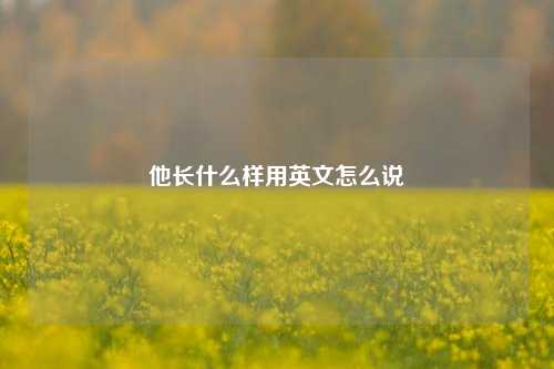 他长什么样用英文怎么说