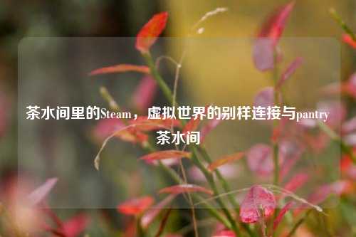 茶水间里的Steam,虚拟世界的别样连接与pantry茶水间