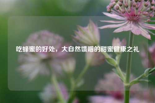 吃蜂蜜的好处，大自然馈赠的甜蜜健康之礼