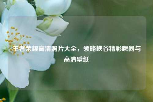 王者荣耀高清照片大全，领略峡谷精彩瞬间与高清壁纸
