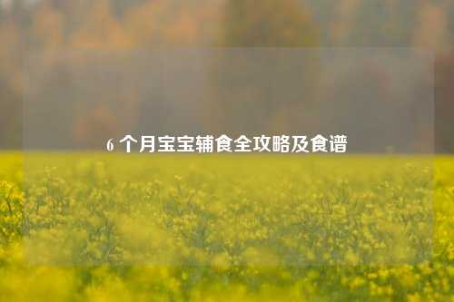 6 个月宝宝辅食全攻略及食谱
