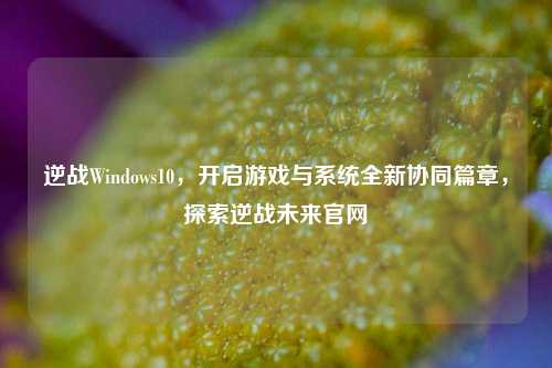 逆战Windows10,开启游戏与系统全新协同篇章,探索逆战未来官网