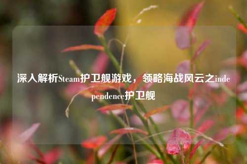 深入解析Steam护卫舰游戏,领略海战风云之independence护卫舰