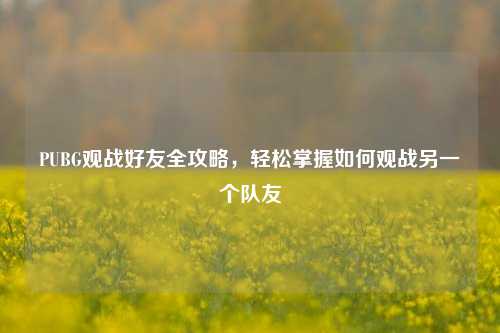 PUBG观战好友全攻略,轻松掌握如何观战另一个队友