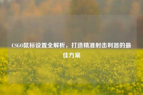 CSGO鼠标设置全解析,打造精准射击利器的更佳方案