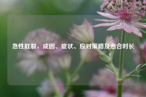 急性肛裂,成因、症状、应对策略及愈合时长