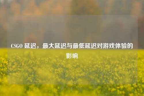 CSGO 延迟，更大延迟与更低延迟对游戏体验的影响