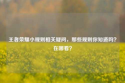 王者荣耀小规则相关疑问,那些规则你知道吗?在哪看?