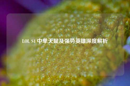 LOL S4 中单天赋及强势英雄深度解析