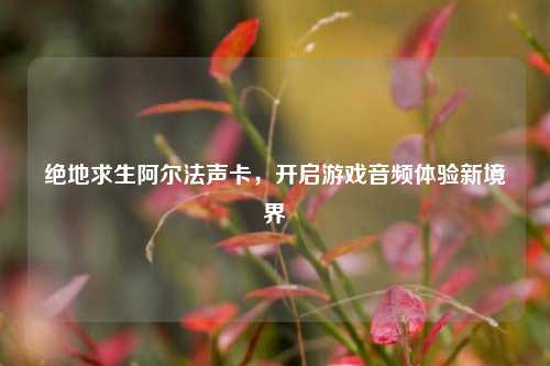 绝地求生阿尔法声卡,开启游戏音频体验新境界
