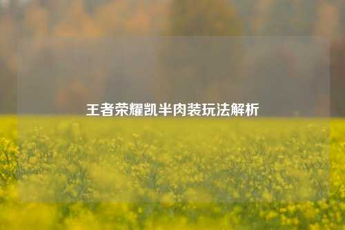王者荣耀凯半肉装玩法解析