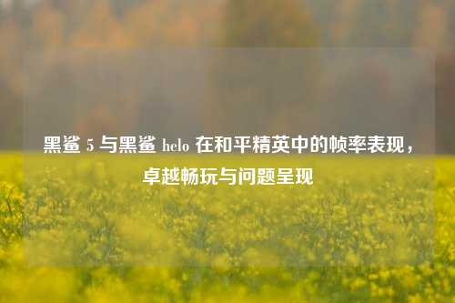黑鲨 5 与黑鲨 helo 在和平精英中的帧率表现,卓越畅玩与问题呈现