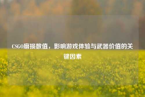 CSGO磨损数值,影响游戏体验与武器价值的关键因素