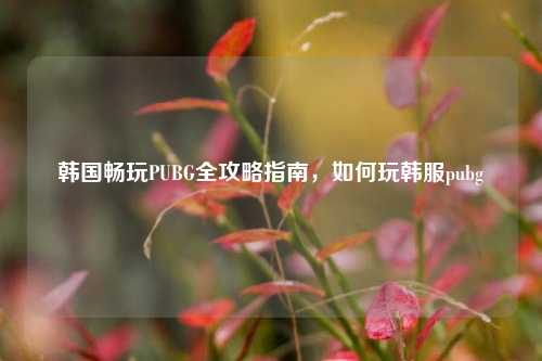 韩国畅玩PUBG全攻略指南,如何玩韩服pubg