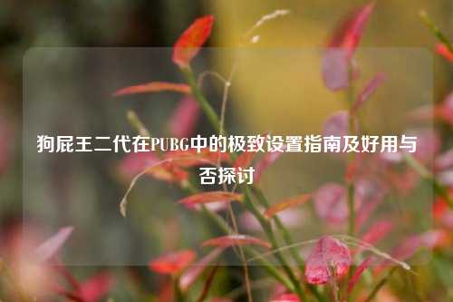 狗屁王二代在PUBG中的极致设置指南及好用与否探讨