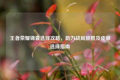 王者荣耀锦囊选择攻略,助力战局致胜及皮肤选择指南