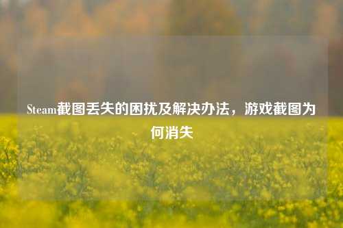 Steam截图丢失的困扰及解决办法,游戏截图为何消失