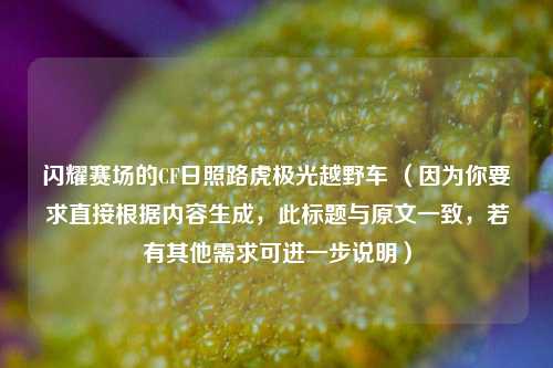 闪耀赛场的CF日照路虎极光越野车 (因为你要求直接根据内容生成,此标题与原文一致,若有其他需求可进一步说明)