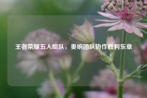王者荣耀五人组队，奏响团队协作胜利乐章