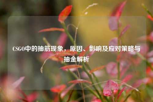 CSGO中的抽筋现象,原因、影响及应对策略与抽金解析