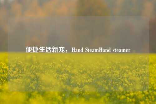 便捷生活新宠,Hand SteamHand steamer
