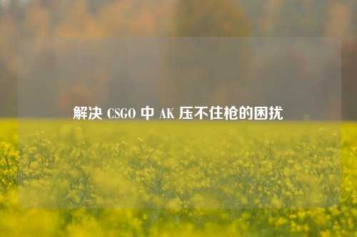 解决 CSGO 中 AK 压不住枪的困扰