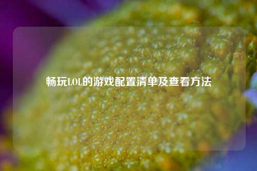 畅玩LOL的游戏配置清单及查看 ***