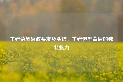 王者荣耀嬴政头发及头饰，王者造型背后的独特魅力