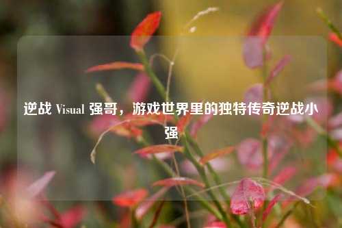 逆战 Visual 强哥,游戏世界里的独特传奇逆战小强