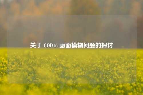 关于 COD16 画面模糊问题的探讨