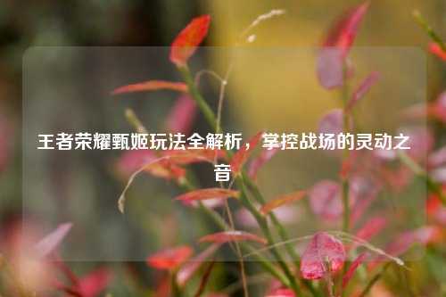 王者荣耀甄姬玩法全解析，掌控战场的灵动之音