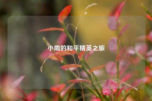小周的和平精英之旅