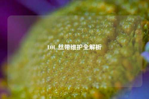 LOL 丝带维护全解析